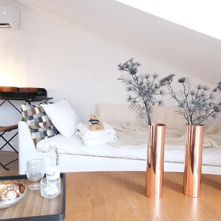 Shandita 住宿加早餐酒店