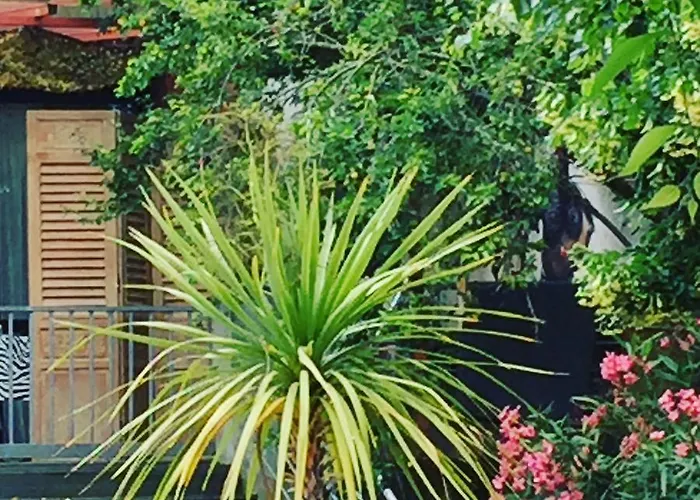 Shandita 住宿加早餐酒店